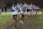 Boys Under-15s 2024 Northern Cross Country Champs., Sedgefield. Photo: David T. Hewitson/Sports for All Pics
